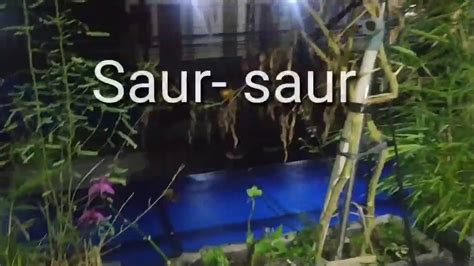 saurl|saur logowanie.